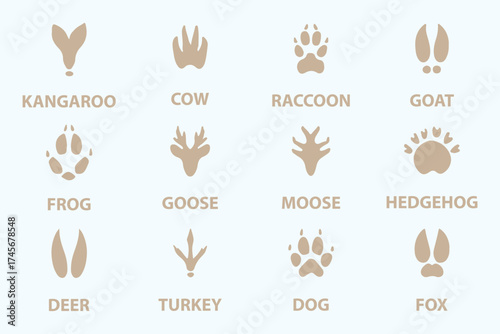 Illustration of various animal footprints showing distinct shapes for paw prints and tracks from different species. Wild animal feet silhouette. Vector zoo footsteps set.