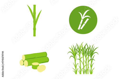 Detailed vector illustration of fresh sugarcane stalks, sliced cane pieces, sugarcane plant in field, and cane symbol icon with transparent background, agricultural crop concept