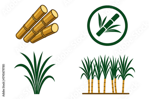 Vector design of sugarcane stalks and green leaves, sugarcane field plantation illustration, cane plant icons, agricultural crop vector with transparent background, farming and harvest concept