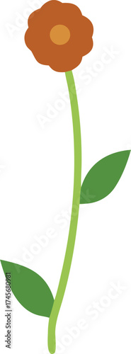 a tiny desert flower blooming beside a pebble 