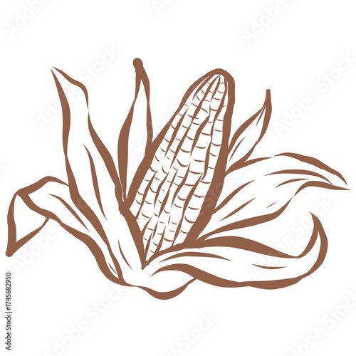 Line Art of Corn Illustration. Hand-Drawn Doodle.