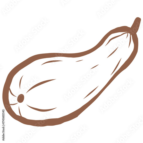 Line Art of Zuccini Illustration. Hand-Drawn Doodle.