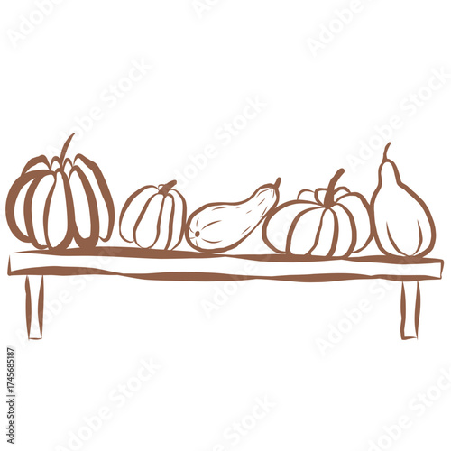 Line Art of Pumpkins Illustration. Hand-Drawn Doodle.