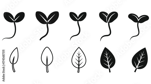 Vector art of black and white vector illustration of plant growth stages
