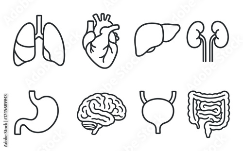 Silhouette illustrations of major human organs on dark background