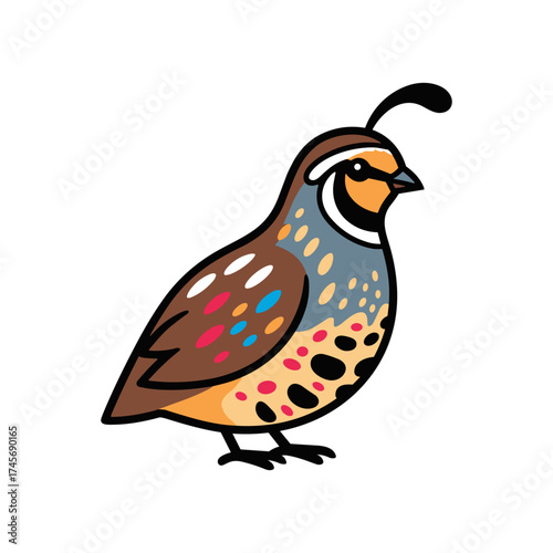 Colorful quail bird illustration showcasing vibrant plumage against a white background