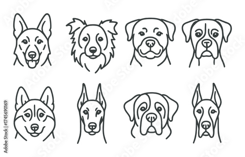 Monochrome outlined dog faces: various breeds on gradient background