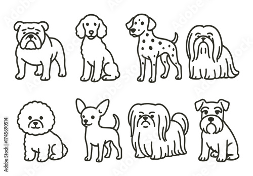 Outline illustration of eight cartoon dog breeds on brown background