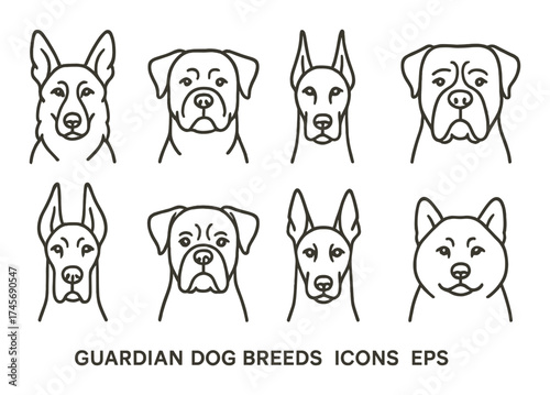Guardian dog breeds icons: german shepherd, boxer, doberman, akita illustrations