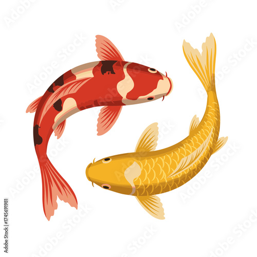 Two Japanese koi carp swimming, one red, the other yellow, with fluttering fins. Flat design, isolated on a transparent background.