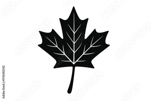 Maple leaf vector icon, black silhouette style. Canadian symbol for Canada Day & Thanksgiving. Autumn fall foliage graphic design element isolated on white background. Nature.