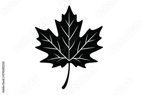 Maple leaf icon, black silhouette style isolated on white. Canadian national symbol for Canada Day, Thanksgiving. Vector illustration of autumn, fall foliage, nature, plant.