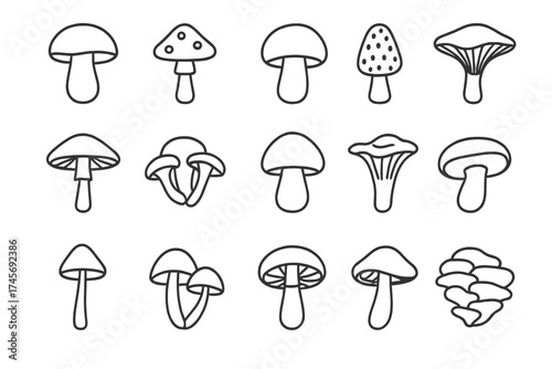 Mushroom line icon set. Fungi vector symbol collection. Outline illustration of various fungus types like champignon, amanita. Organic forest food, nature logotype concept.