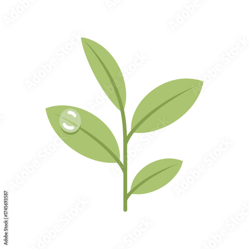 A vibrant green plant branch with droplets of water, symbolizing freshness and nature