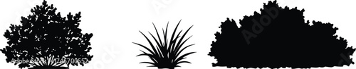Plant silhouette vector set, bush and grass shapes, botanical icons, foliage design elements, landscaping reference, nature illustration pack