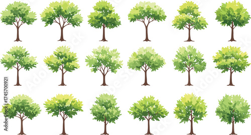 Stylized tree collection, top view forest elements, vector foliage grid, landscape design assets, nature icons, green canopy illustration set