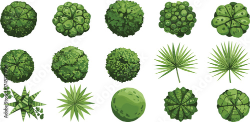Top view tree and plant illustration set, stylized foliage icons, landscaping elements, vector nature assets, garden design textures
