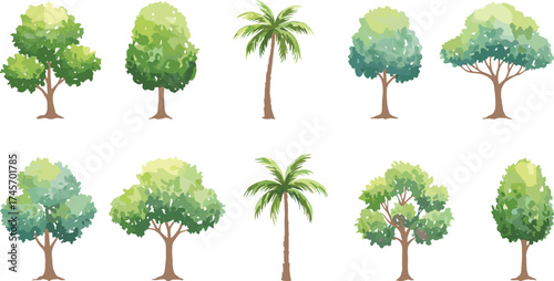 Tree illustration set, broadleaf and palm species, seasonal foliage variations, stylized canopy icons, vector nature elements, landscape design assets