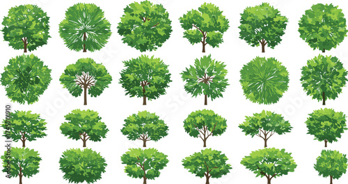 Tree illustration set, diverse tree types, botanical graphics, foliage variations, landscape elements, green canopy art, stylized trees, nature clipart