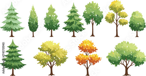 Tree illustration set, seasonal foliage variations, conifer and deciduous species, vector forest icons, nature design elements, stylized canopy pack