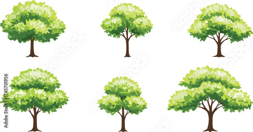 Tree illustration set, stylized foliage textures, varied canopy shapes, green plant icons, nature vector elements, landscape design graphics