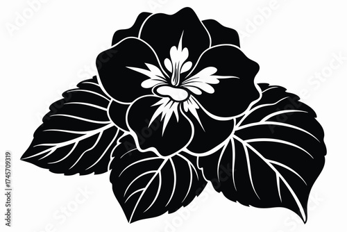 Elegant Black and White Illustration of a Pansy Flower with Detailed Leaves
