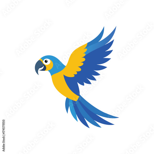 blue and gold macaw parrot vector illustration