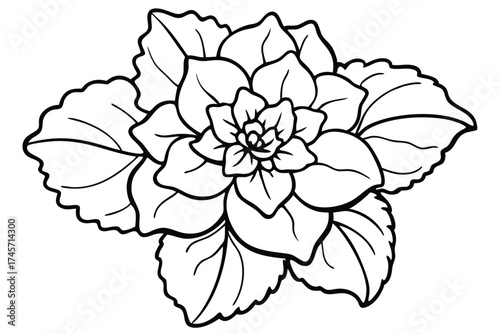 Outlined Floral Design Black and White Flower with Curvy Petals and Leaves Illustration