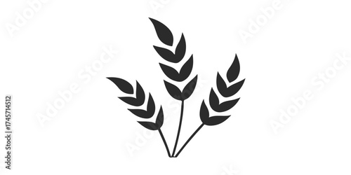 Golden wheat ears vector set, a floral decoration and symbol of nature on a white background