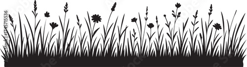 Meadow banner, grass border, vector