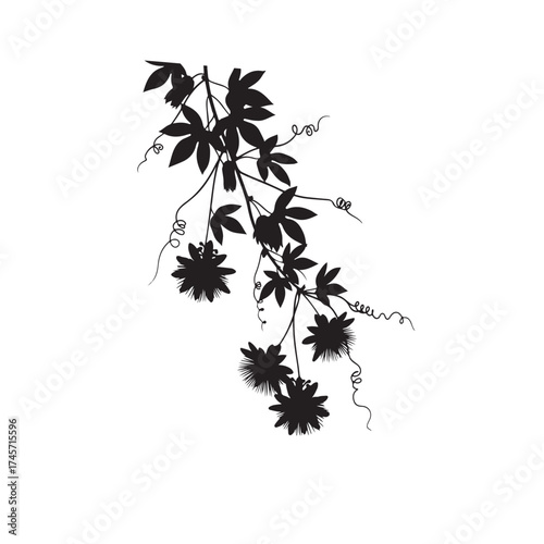 Vector art of black silhouette of a flowering vine with leaves silhouette art design