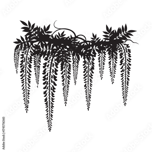 Vector art of black silhouette of wisteria flowers silhouette art design