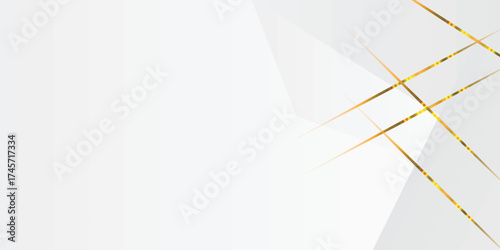 Abstract background  white and gray with gorgeous line decoration