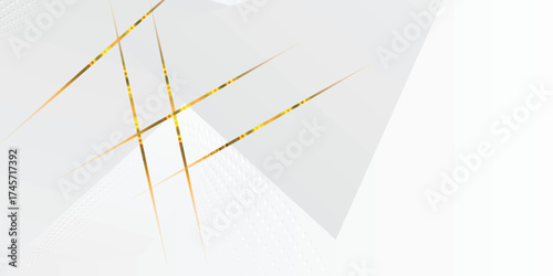 Abstract background  white and gray with gorgeous line decoration