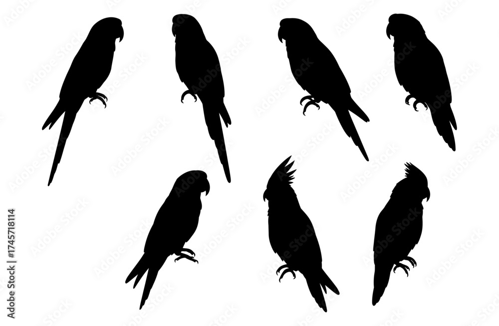 Fototapeta premium Parrot and tropical bird silhouette set