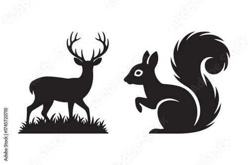 Silhouette of a majestic deer and a bushy tailed squirrel