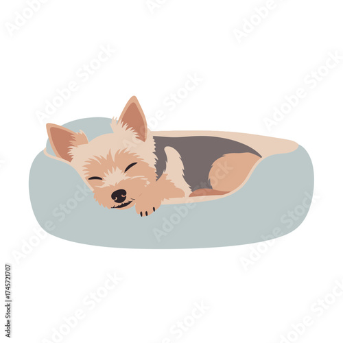 A small Yorkshire Terrier puppy sleeps peacefully in a light blue dog bed.
