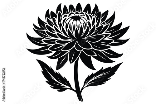 Monochrome Illustration of a Chrysanthemum Flower with Stem and Leaves in Black