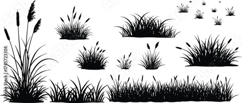 Grass and reed silhouette set, wild vegetation, black vector icons, flowering plants, white background, hand-drawn style, nature element, landscape design