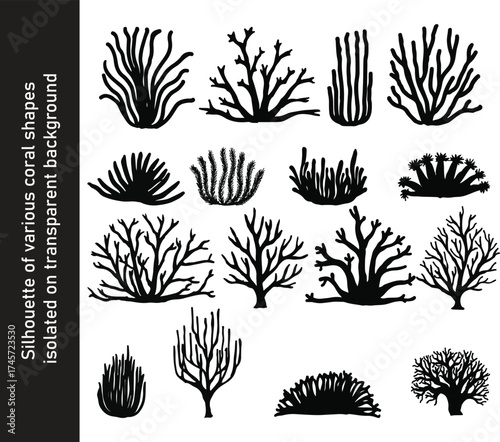Silhouette of various coral shapes isolated on transparent background