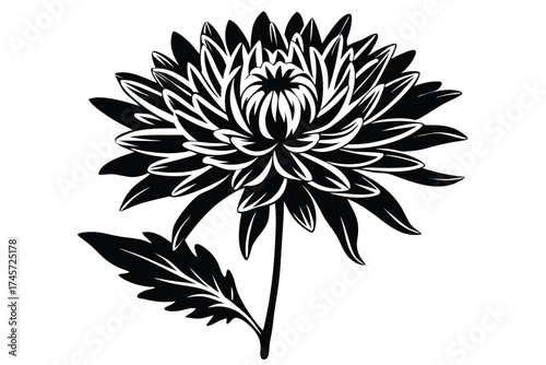 Elegant Black and White Chrysanthemum Illustration with Leaf and Stem Detail Graphic