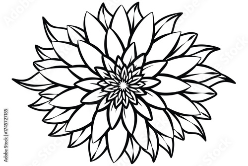 Detailed Black and White Flower Illustration with Multiple Layers of Pointed Petals