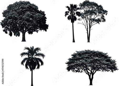 Silhouette set of diverse tree species with unique canopy shapes, isolated black vector trees for nature, landscape, and ecology design