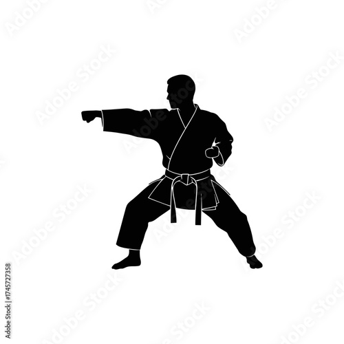 Karate Fighter Punching Pose Martial Arts Silhouette Combat Training Vector Illustration