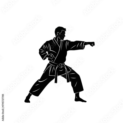 Karate Fighter Punching Pose Martial Arts Silhouette Combat Training Vector Illustration