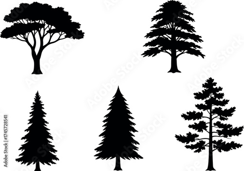 Black Tree Silhouettes Collection Featuring Diverse Forest Shapes, Pine and Fir Variants for Nature, Botany, Ecology, and Landscape Design