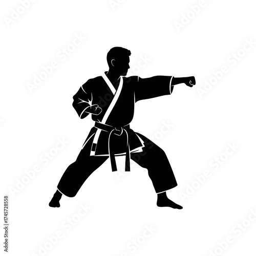 Karate Fighter Punching Pose Martial Arts Silhouette Combat Training Vector Illustration