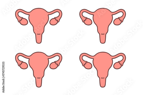 Uterus and ovaries seamless pattern. Female reproductive system cartoon vector illustration. Womb anatomy icon set for gynecology, women's health, biology, and medical design.