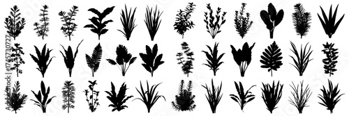 Vector art of silhouette of various plants, showcasing a diverse collection of botanical shapes and forms in a simple design