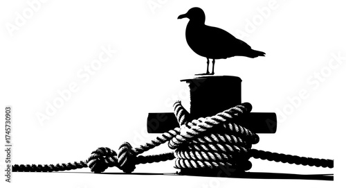 Vector art of seagull on mooring bollard with rope in black and white, a marine scene